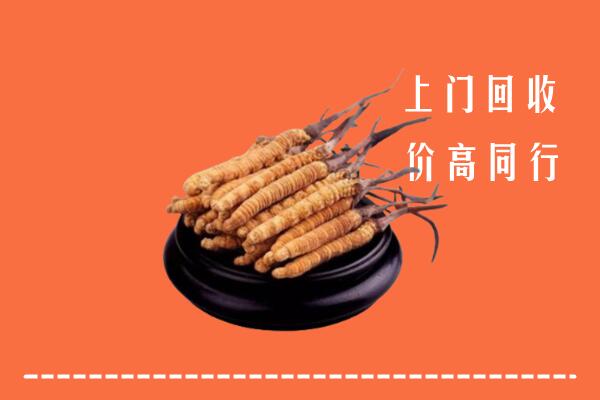 高价求购：济南槐荫区回收散虫草