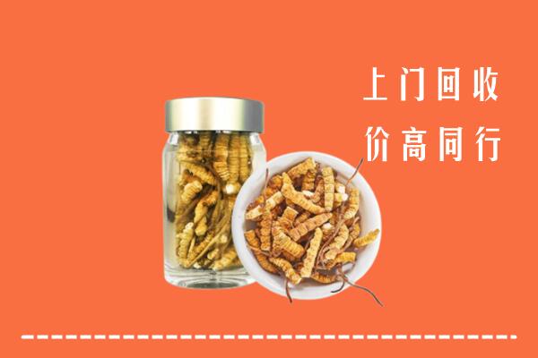 济南槐荫区回收冬虫夏草