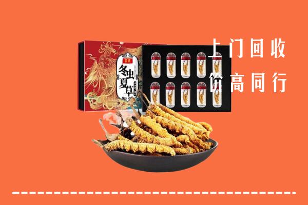 济南槐荫区回收虫草